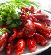 Ѱζ���������ʳ ������족��