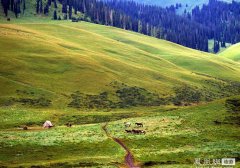 �߽��������á�