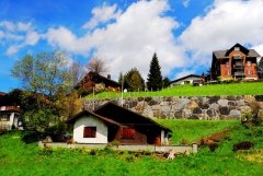 ����֮�価���� ��Щ�������