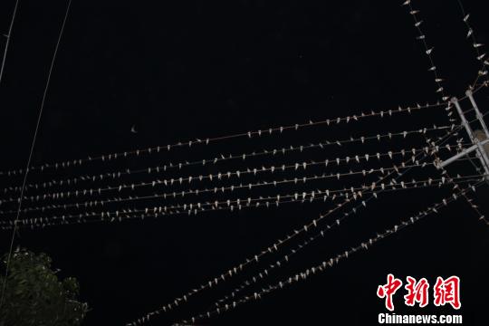 �����ų�����Ķ��顡�������