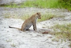 ��Ǯ����ս���� ���׾�������Ű