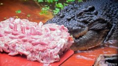 �������㡰���֡�����ң���������������(ͼ)