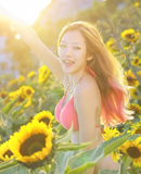 ����̫�������տ�