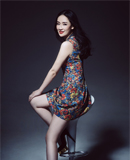 ����д���Ƭ�ع�